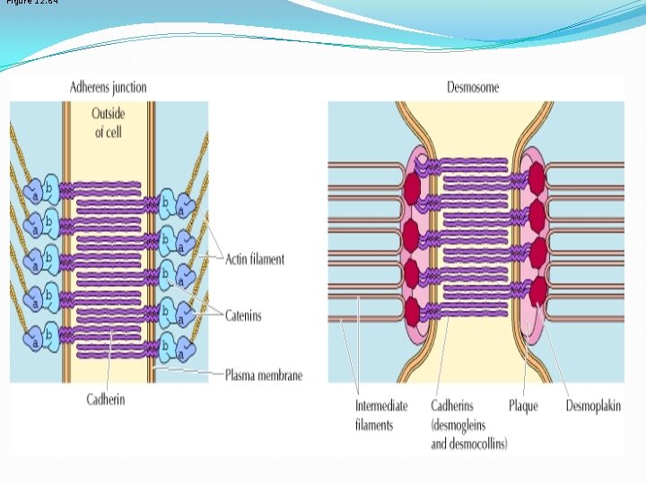 Figure 12. 64 