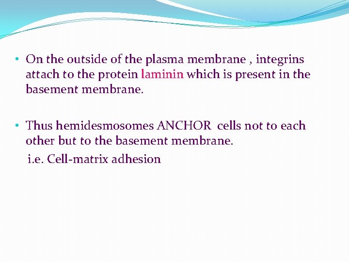  • On the outside of the plasma membrane , integrins attach to the