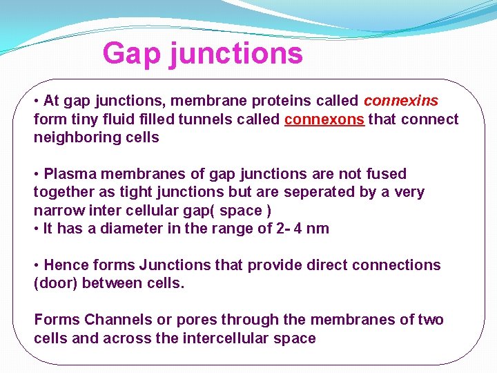 Gap junctions • At gap junctions, membrane proteins called connexins form tiny fluid filled