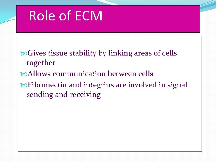 Role of ECM Gives tissue stability by linking areas of cells together Allows communication