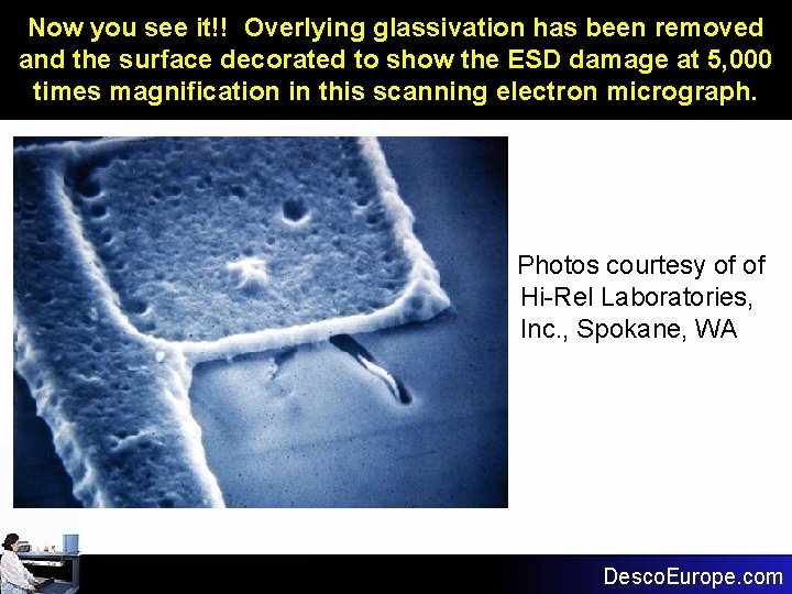 Now you see it!! Overlying glassivation has been removed and the surface decorated to Now you see it!! Overlying glassivation has been removed and the surface decorated to