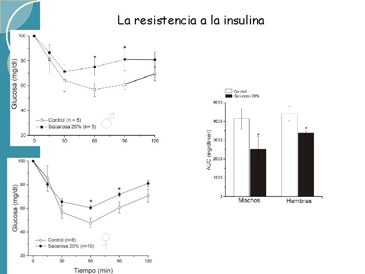 La resistencia a la insulina 