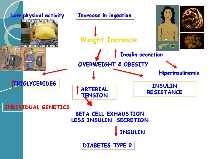 Low physical activity Increase in ingestion Weight Increase Insulin secretion OVERWEIGHT & OBESITY Hiperinsulinemia