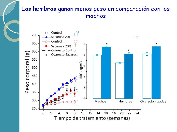 Las hembras ganan menos peso en comparación con los machos 