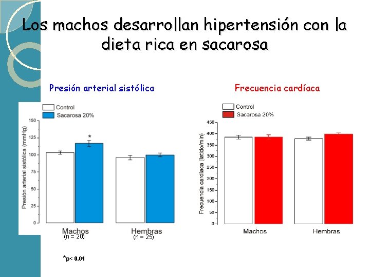 Los machos desarrollan hipertensión con la dieta rica en sacarosa Presión arterial sistólica (n