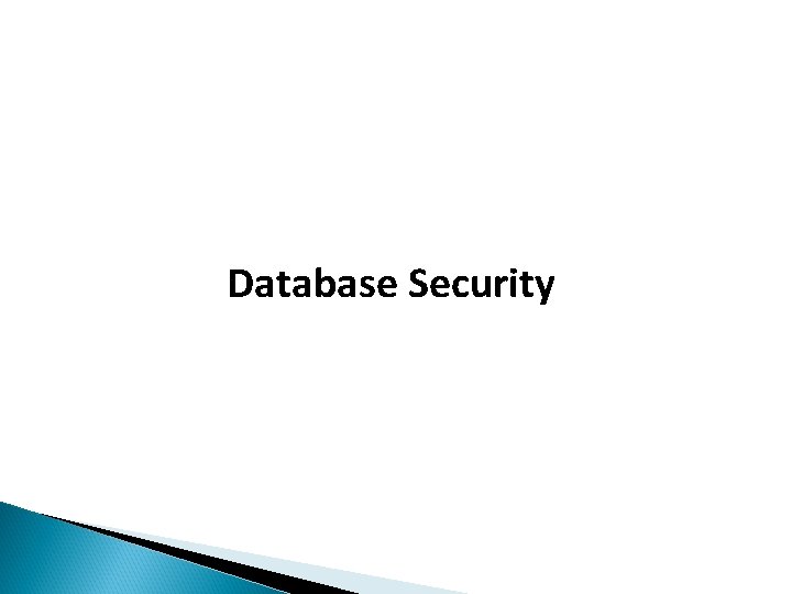 Database Security 