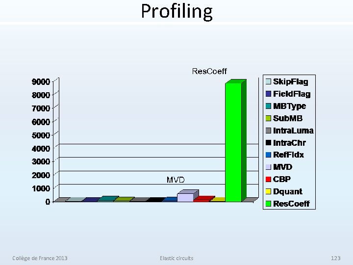 Profiling Collège de France 2013 Elastic circuits 123 