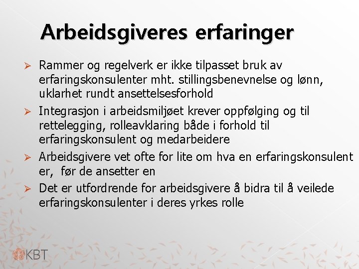 Arbeidsgiveres erfaringer Rammer og regelverk er ikke tilpasset bruk av erfaringskonsulenter mht. stillingsbenevnelse og