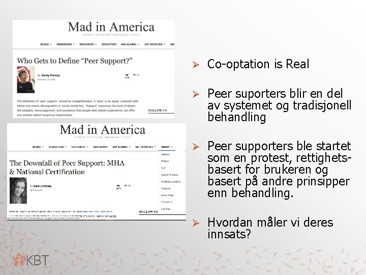 Ø Co-optation is Real Ø Peer suporters blir en del av systemet og tradisjonell