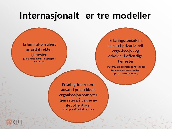 Internasjonalt er tre modeller Erfaringskonsulent ansatt i privat ideell organisasjon og arbeider i offentlige