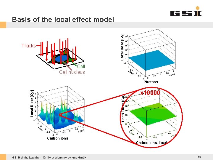 Local Dose [Gy] Basis of the local effect model Tracks Cell nucleus Local Dose