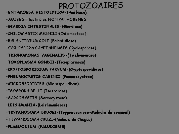PROTOZOAIRES • ENTAMOEBA HISTOLYTICA-(Amibiase) • AMIBES intestinales NON PATHOGENES • GIARDIA INTESTINALIS-(Giardiase) • CHILOMASTIX