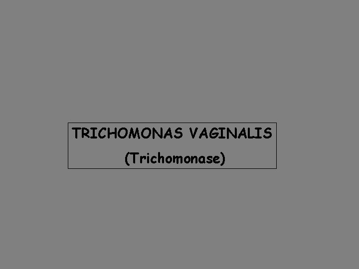 TRICHOMONAS VAGINALIS (Trichomonase) 