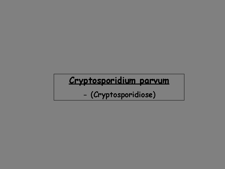 Cryptosporidium parvum - (Cryptosporidiose) 