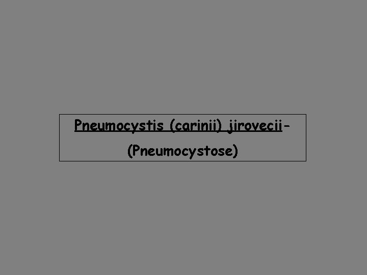 Pneumocystis (carinii) jirovecii(Pneumocystose) 