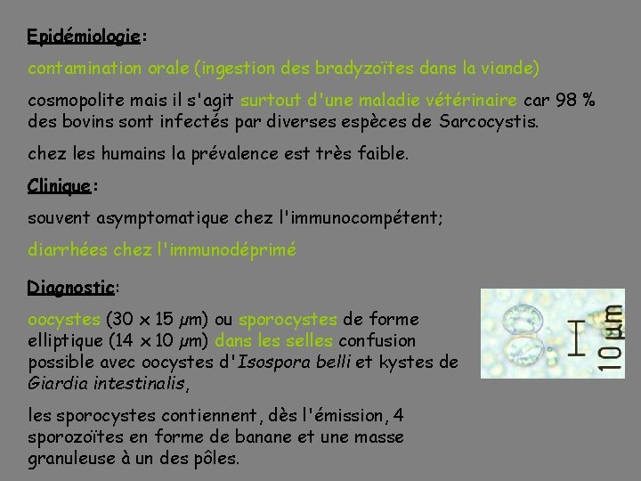 Epidémiologie: contamination orale (ingestion des bradyzoïtes dans la viande) cosmopolite mais il s'agit surtout