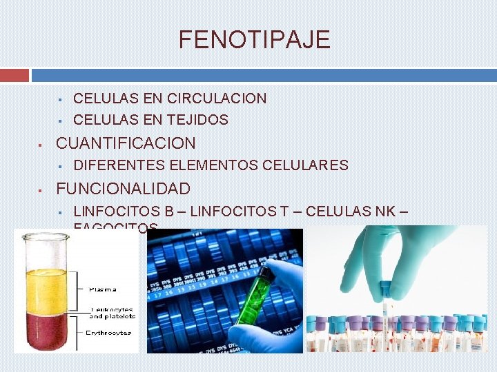 FENOTIPAJE § § § CUANTIFICACION § § CELULAS EN CIRCULACION CELULAS EN TEJIDOS DIFERENTES