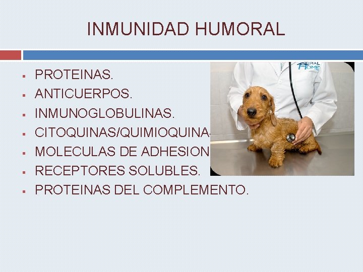 INMUNIDAD HUMORAL § § § § PROTEINAS. ANTICUERPOS. INMUNOGLOBULINAS. CITOQUINAS/QUIMIOQUINAS. MOLECULAS DE ADHESION. RECEPTORES