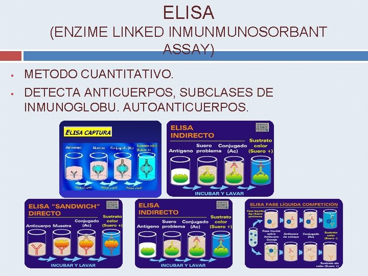 ELISA (ENZIME LINKED INMUNMUNOSORBANT ASSAY) § § METODO CUANTITATIVO. DETECTA ANTICUERPOS, SUBCLASES DE INMUNOGLOBU.