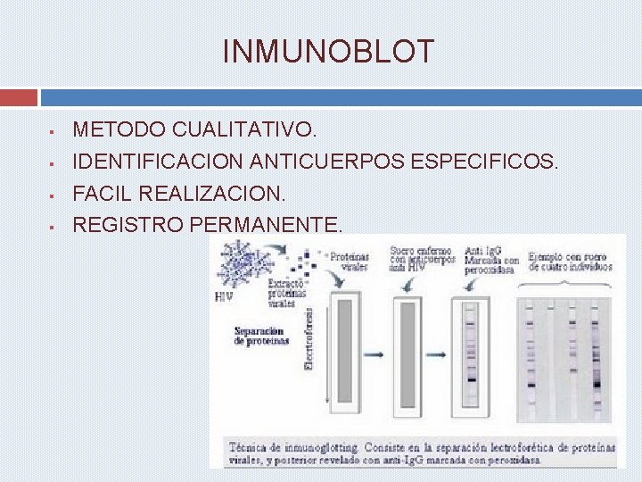 INMUNOBLOT § § METODO CUALITATIVO. IDENTIFICACION ANTICUERPOS ESPECIFICOS. FACIL REALIZACION. REGISTRO PERMANENTE. 