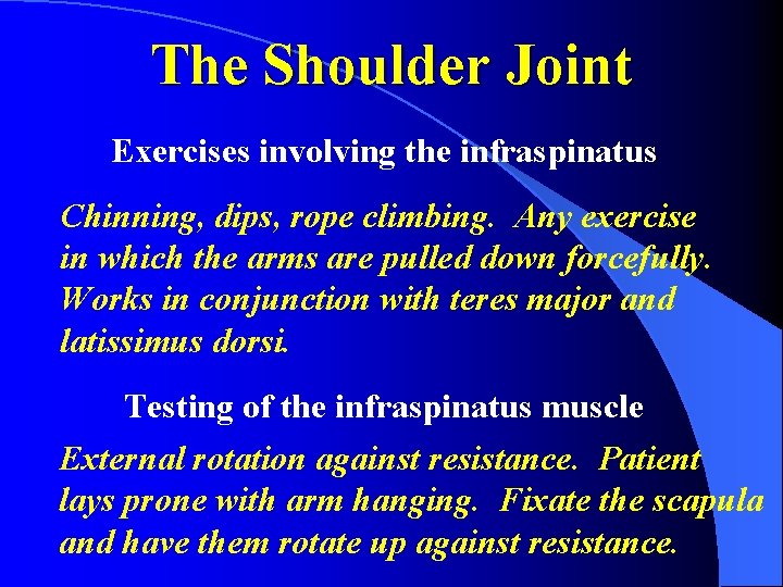 The Shoulder Joint Exercises involving the infraspinatus Chinning, dips, rope climbing. Any exercise in