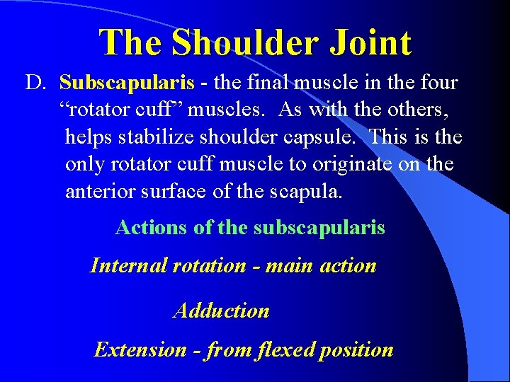 The Shoulder Joint D. Subscapularis - the final muscle in the four “rotator cuff”