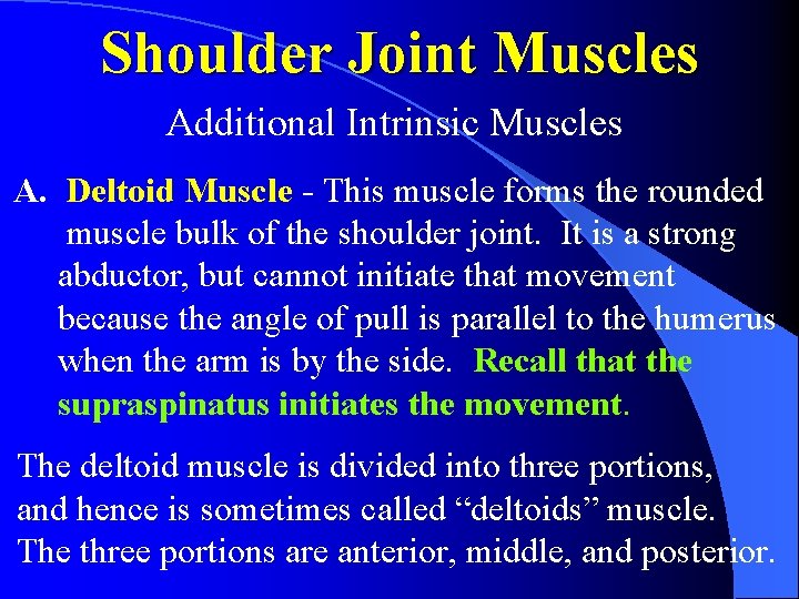 Shoulder Joint Muscles Additional Intrinsic Muscles A. Deltoid Muscle - This muscle forms the