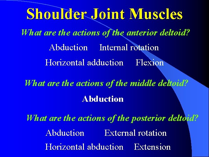 Shoulder Joint Muscles What are the actions of the anterior deltoid? Abduction Internal rotation