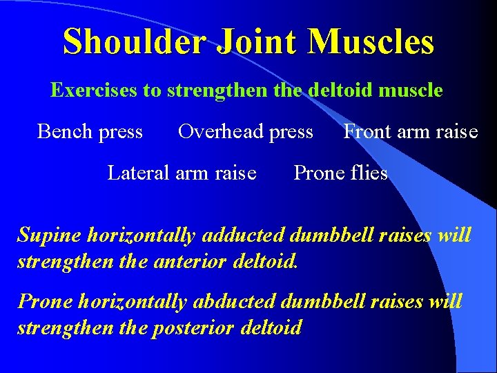 Shoulder Joint Muscles Exercises to strengthen the deltoid muscle Bench press Overhead press Lateral
