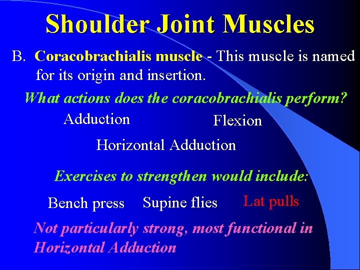 Shoulder Joint Muscles B. Coracobrachialis muscle - This muscle is named for its origin