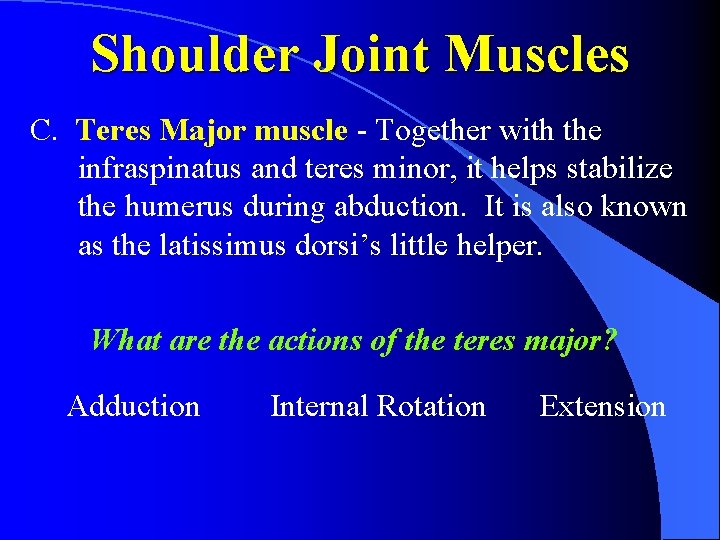 Shoulder Joint Muscles C. Teres Major muscle - Together with the infraspinatus and teres