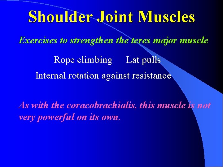 Shoulder Joint Muscles Exercises to strengthen the teres major muscle Rope climbing Lat pulls