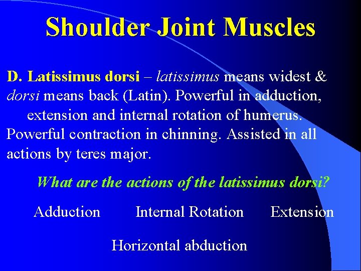 Shoulder Joint Muscles D. Latissimus dorsi – latissimus means widest & dorsi means back