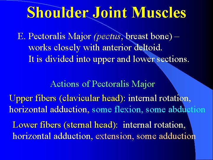 Shoulder Joint Muscles E. Pectoralis Major (pectus, breast bone) – works closely with anterior