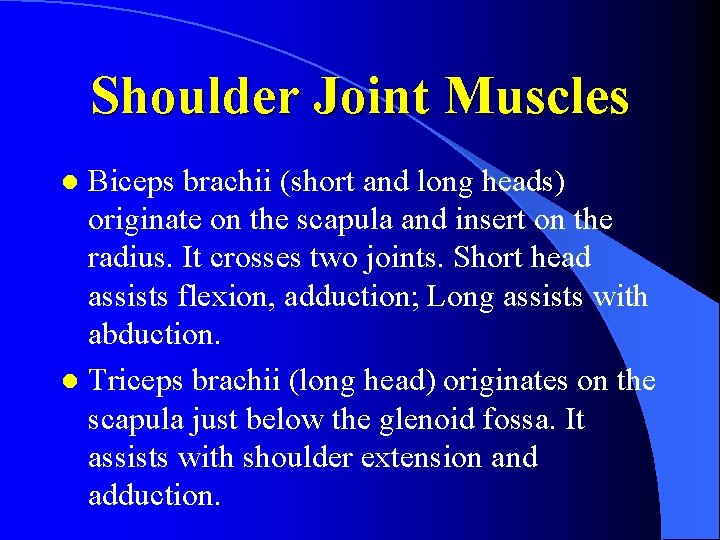 Shoulder Joint Muscles Biceps brachii (short and long heads) originate on the scapula and