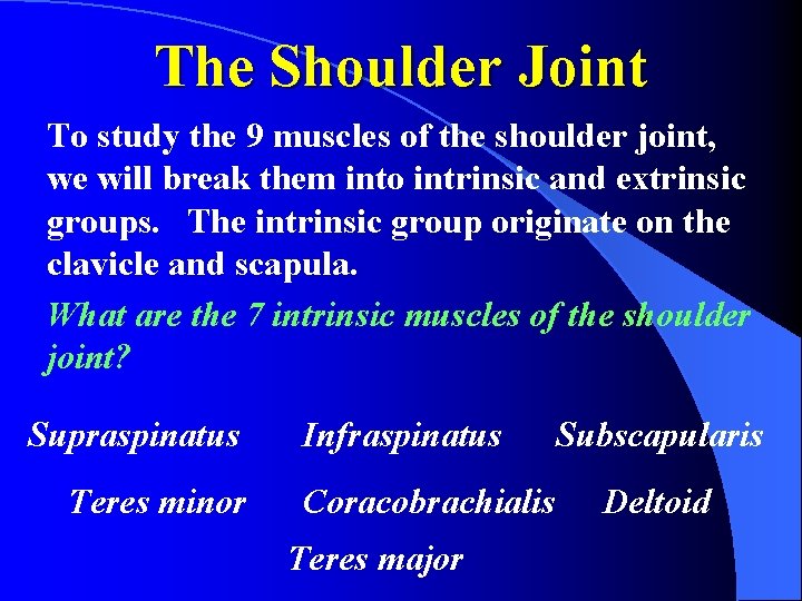 The Shoulder Joint To study the 9 muscles of the shoulder joint, we will