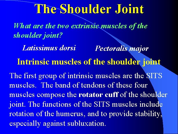 The Shoulder Joint What are the two extrinsic muscles of the shoulder joint? Latissimus