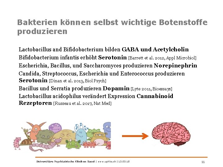 Bakterien können selbst wichtige Botenstoffe produzieren Lactobacillus and Bifidobacterium bilden GABA und Acetylcholin Bifidobacterium