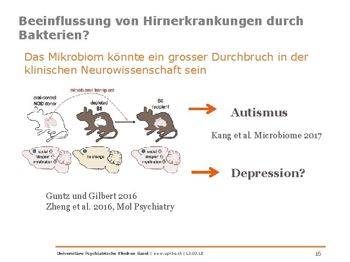 Beeinflussung von Hirnerkrankungen durch Bakterien? Das Mikrobiom könnte ein grosser Durchbruch in der klinischen