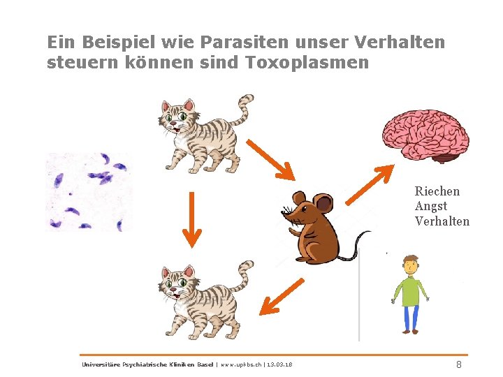 Ein Beispiel wie Parasiten unser Verhalten steuern können sind Toxoplasmen Riechen Angst Verhalten Universitäre