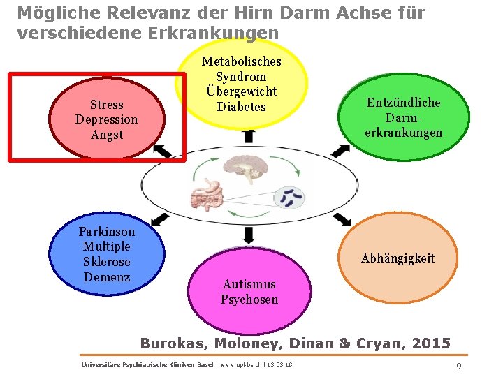 Mögliche Relevanz der Hirn Darm Achse für verschiedene Erkrankungen Stress Depression Angst Parkinson Multiple