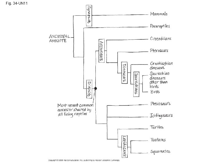 Fig. 34 -UN 11 