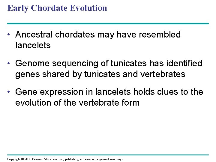 Early Chordate Evolution • Ancestral chordates may have resembled lancelets • Genome sequencing of