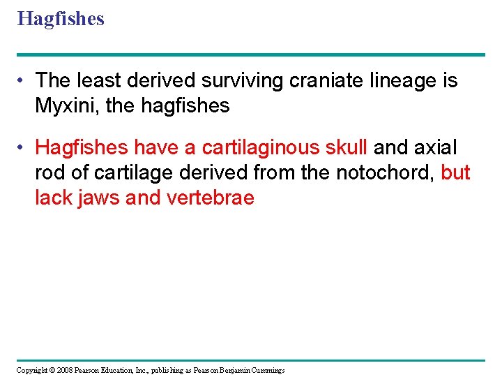Hagfishes • The least derived surviving craniate lineage is Myxini, the hagfishes • Hagfishes