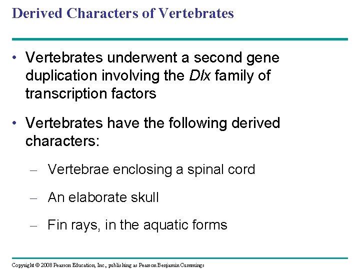 Derived Characters of Vertebrates • Vertebrates underwent a second gene duplication involving the Dlx