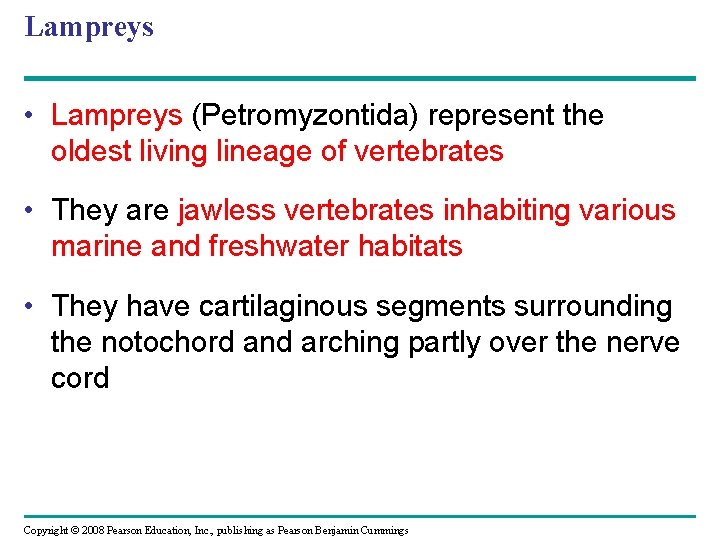 Lampreys • Lampreys (Petromyzontida) represent the oldest living lineage of vertebrates • They are