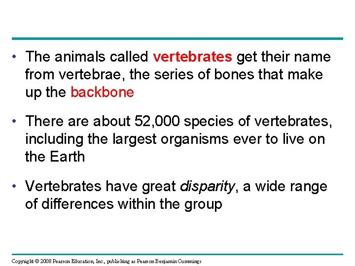  • The animals called vertebrates get their name from vertebrae, the series of