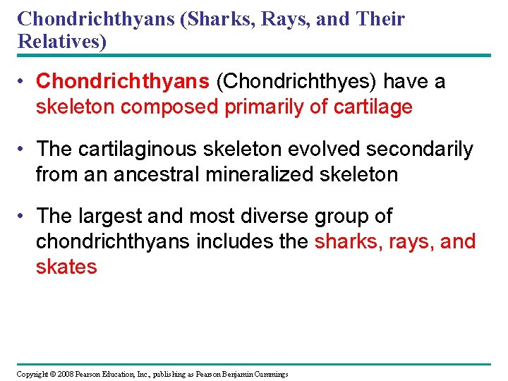 Chondrichthyans (Sharks, Rays, and Their Relatives) • Chondrichthyans (Chondrichthyes) have a skeleton composed primarily