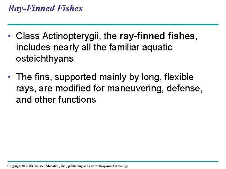 Ray-Finned Fishes • Class Actinopterygii, the ray-finned fishes, includes nearly all the familiar aquatic