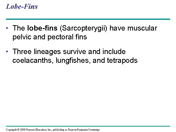 Lobe-Fins • The lobe-fins (Sarcopterygii) have muscular pelvic and pectoral fins • Three lineages